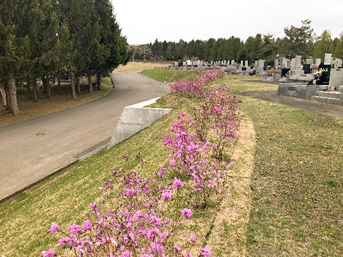 擁壁の老朽化対策設計